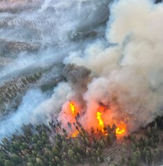 Wildfire from above 