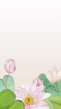 pink vertical background with watercolor drawn waterlily flowers animation