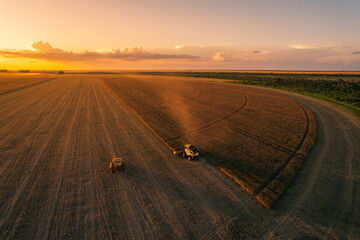 aerial image of soybean field at sunset
