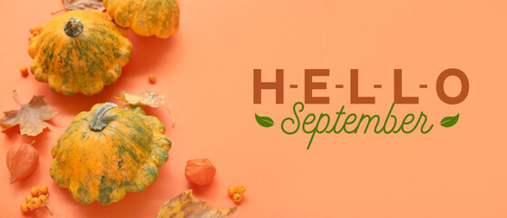 Pumpkins, viburnum and autumn leaves on orange background. Hello, September