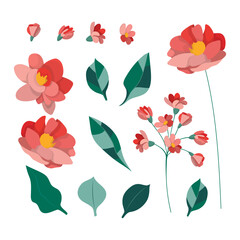 Set of design elements in the form of flowers. Red and pink flowers, green leaves and inflorescences. Peonies, carnations, roses, daisies, chrysanthemums, mallows, poppies, apple blossoms, lilies.