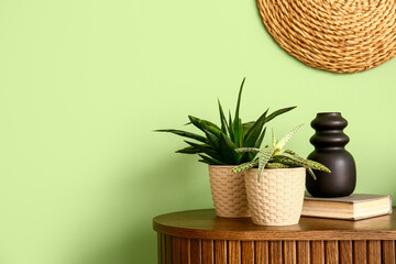 Green houseplants with book on shelf near color wall