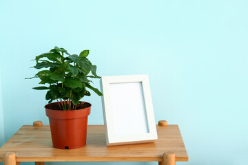 Green houseplant with blank frame on shelf near blue wall