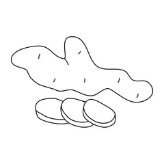 Ginger root with slices, doodle style flat vector outline for coloring book