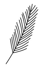 Simplified pine or fir branch silhouette, winter design element, doodle style vector outline