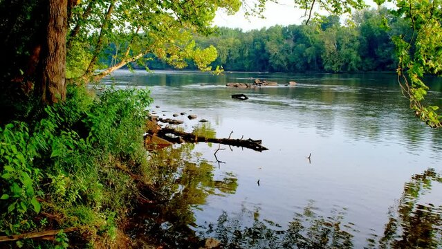Steadily flowing Catawba river in South Carolina at summer