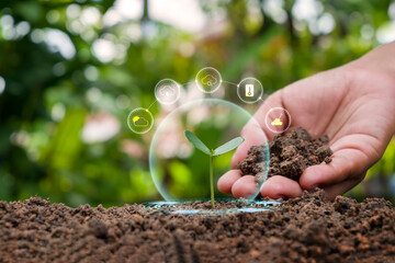 Young trees are planted on the ground with the concept of plant fertilizer, plant nutrients, and factors necessary for plant growth and development.