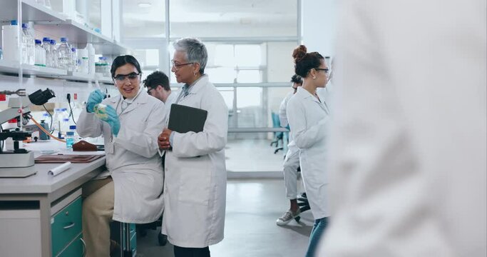 Science, medicine and research of people in laboratory for learning, medical and vaccine. Training, internship and healthcare study with student and professor for solution, biotechnology or teamwork