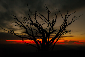 Sunset at The Horn, Mount Buffalo, Victoria, Australia