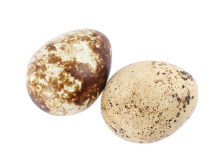 Fototapeta na wymiar Beautiful speckled quail eggs on white background, top view