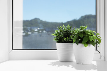 Artificial potted herbs on sunny day on windowsill indoors, space for text. Home decor