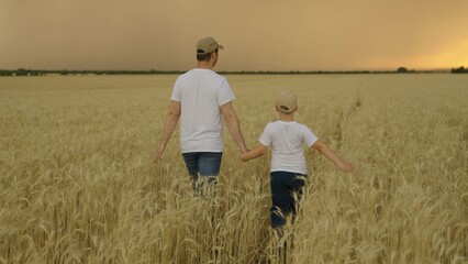 Farmer father works in wheat field with his little son. Happy family, father of child walk together hand in hand on wheat plantation in summer. Family business of farmers. Dad son looks at harvest