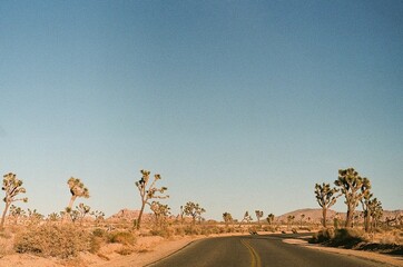 Desert Road