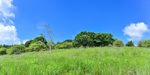 青空バックに見る夏の車山高原の情景