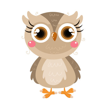  vector cute owl fresh  cartoon vector icon illustration