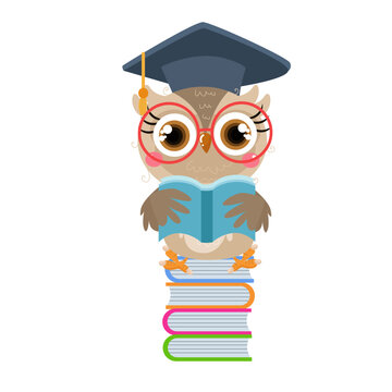  vector cute owl fresh graduate reading book cartoon vector icon illustration