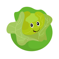 vector hand drawn lettuce cartoon illustration