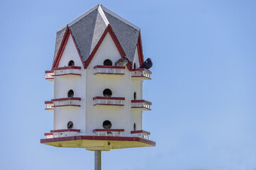 Birdhouse 