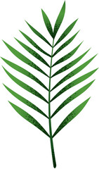 Tropical green leaves isolated  illustration