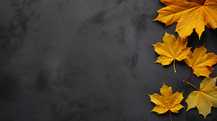 Autumn Maple Leaves on a Black Canvas for Seasonal Artwork