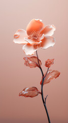a beautiful pink flower against a beige background, in the style of layered translucency,