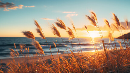 the sun set behind grass moving with the ocean breeze