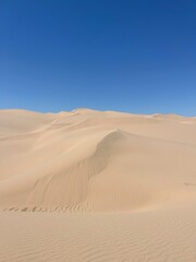 Fototapeta na wymiar imperial sand dune