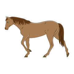 horse vector illustration