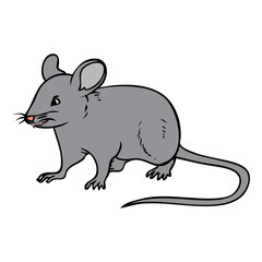 mouse vector illustration