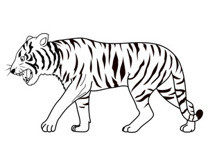 Obraz premium tiger line vector illustration