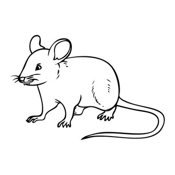 mouse outline vector illustration
