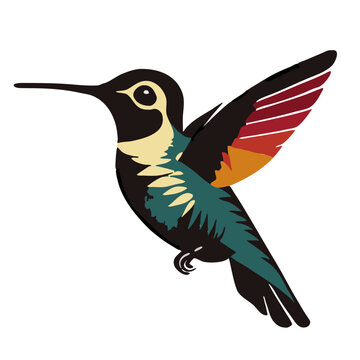 cute hummingbird