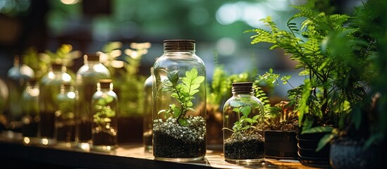 Plants in a tiny bottle garden on a table.