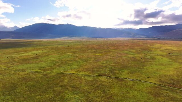 Sierra Nevada Ranching Aerial Drone View
