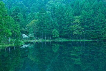 森の中の湖