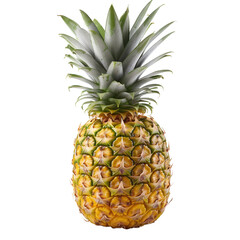 Fototapeta premium pineapple isolated on white