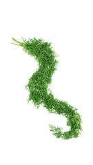 年賀状干支辰ディル1