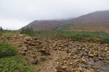 landscape of the mountains