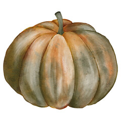 Watercolor Pumpkin Illustration