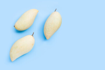 Tropical fruit, Mango on blue background.