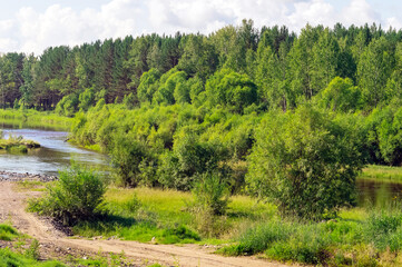 Fototapeta na wymiar Summer landscape with river and forest. Russia, Nature of Eastern Siberia.