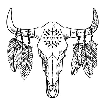 Buffalo skull with feathers. Vector sketch. Isolated on white. Hand drawn style.