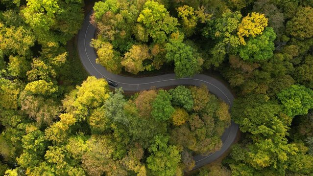 Forest in Autumn and a car passing a windy road