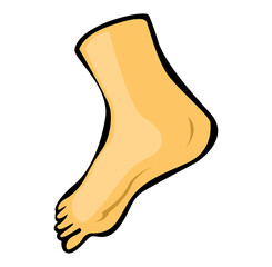 illustration of a foot