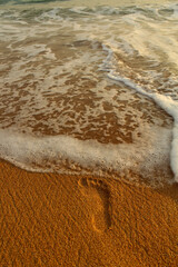 Footprints in the sand stretching to the Indian Ocean island of Sri Lanka