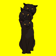 Obraz premium 黒猫（Black cat）(ai)