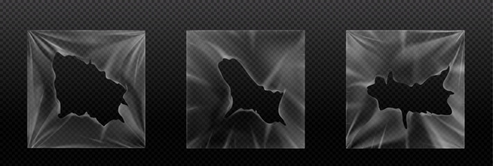 Plastic vinyl album cover wrap texture overlay frame. Torn music record bag sleeve mockup on transparent background. Realistic wrinkle packaging material template pack for cd disk with hole edge