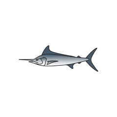 marlin fish with the characteristics of a long mouth