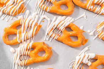 Gourmet Chocolate Covered Pretzel Twist