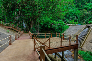 Fototapeta premium Background of a natural waterfall with cool water flowing from high mountains, Punyaban Waterfall Lamnam Kraburi National Park in Ranong Province, Thailand